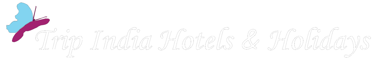 Trip India Hotels & Holidays