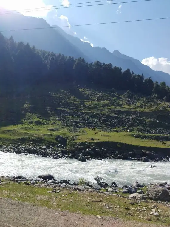 Pahalgam Kashmir group tour — meadows, pine valleys and shikara rides with TIH