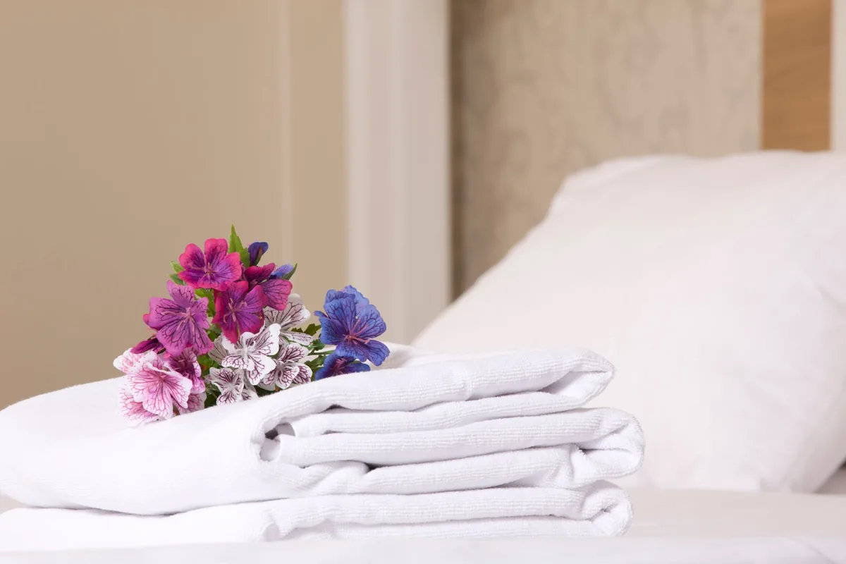 Hospitality since 1994 — Trip India Hotels & Holidays