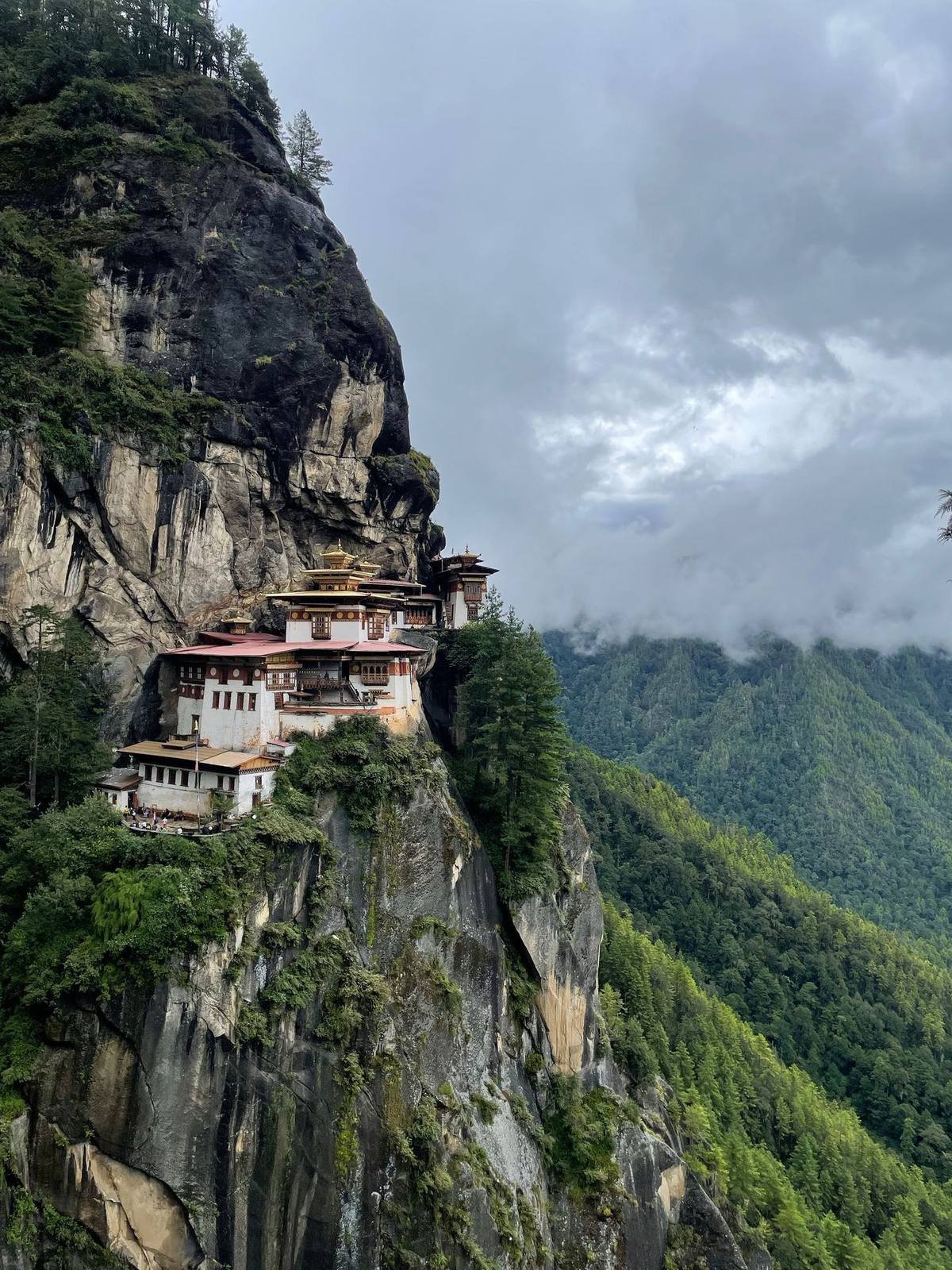 Bhutan experience