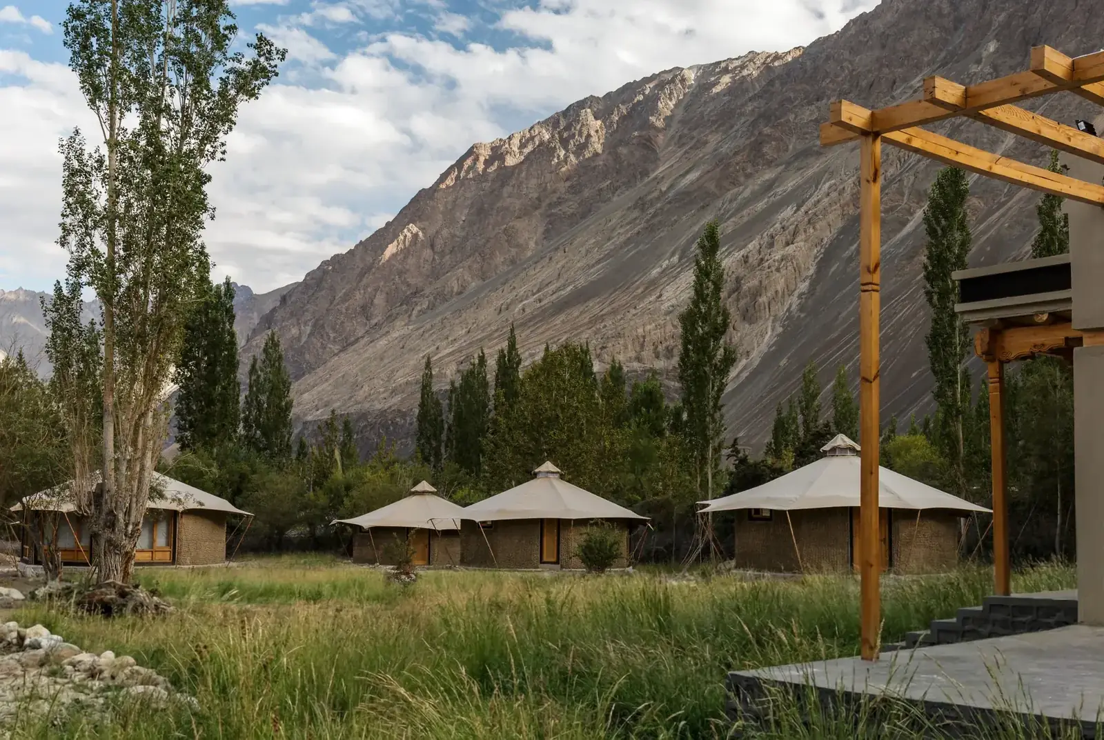 Chalet Seabuckthorn