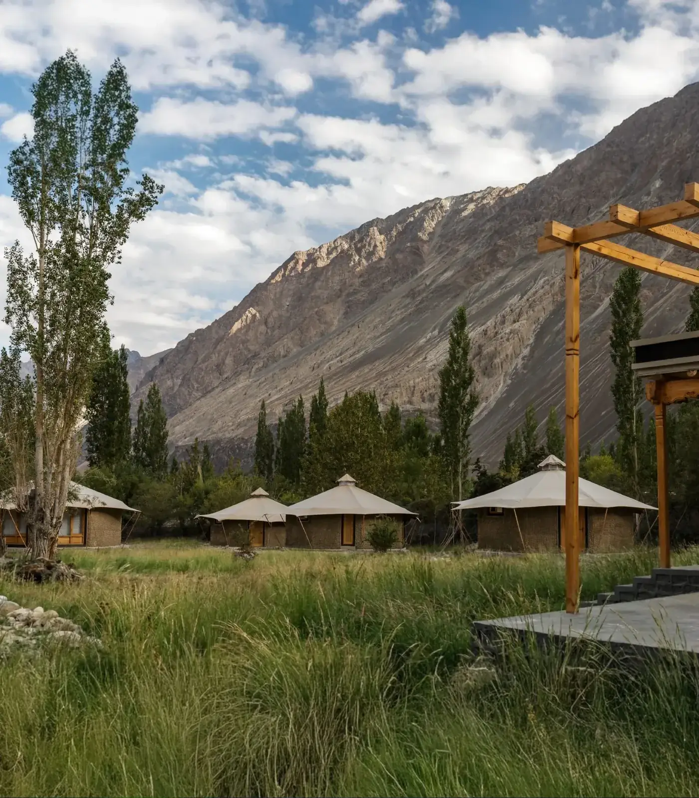 Chalet Seabuckthorn — Poplar grove camp