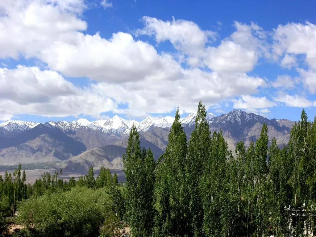 Mahay Palace — The view it wakes up to