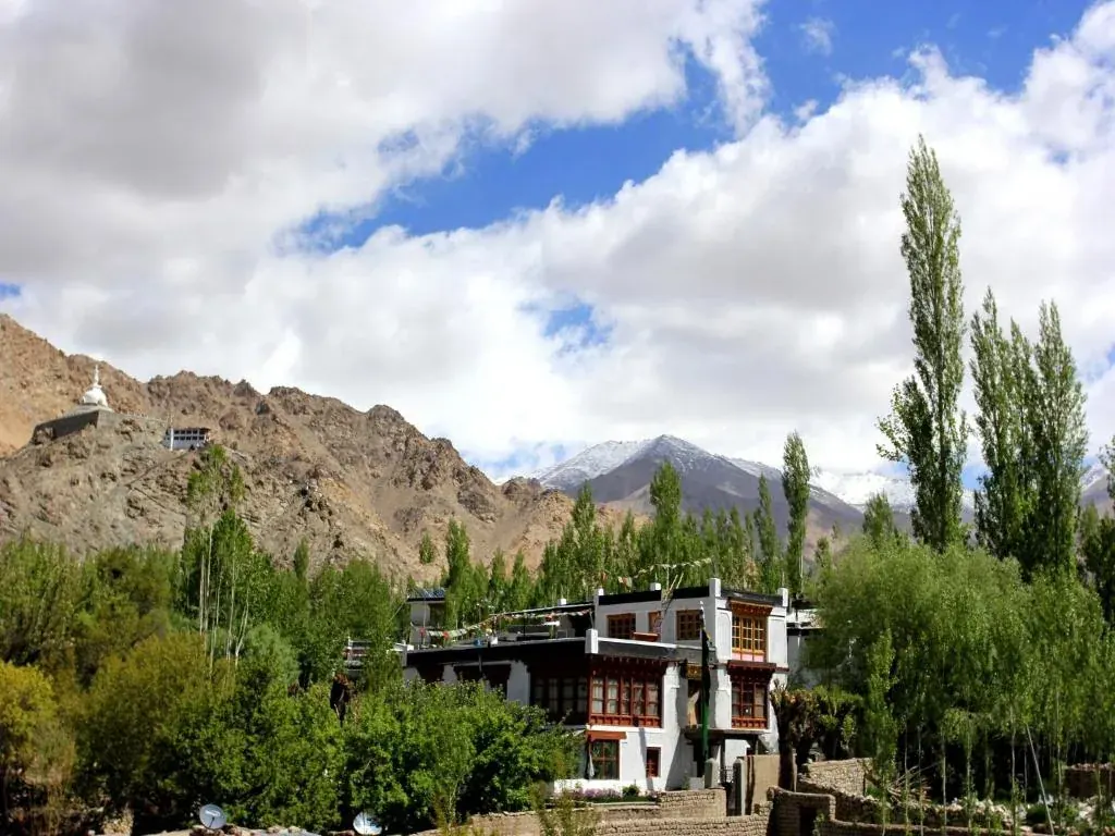 Mahay Palace — House among orchards