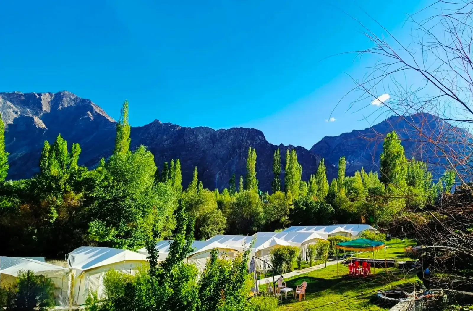 Mountain Camp Nubra — Valley of tents