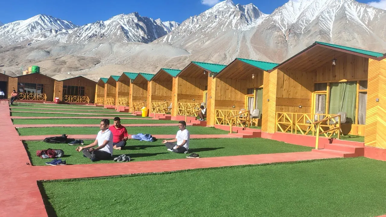 Pangong Pearl — Lazing on the lawn