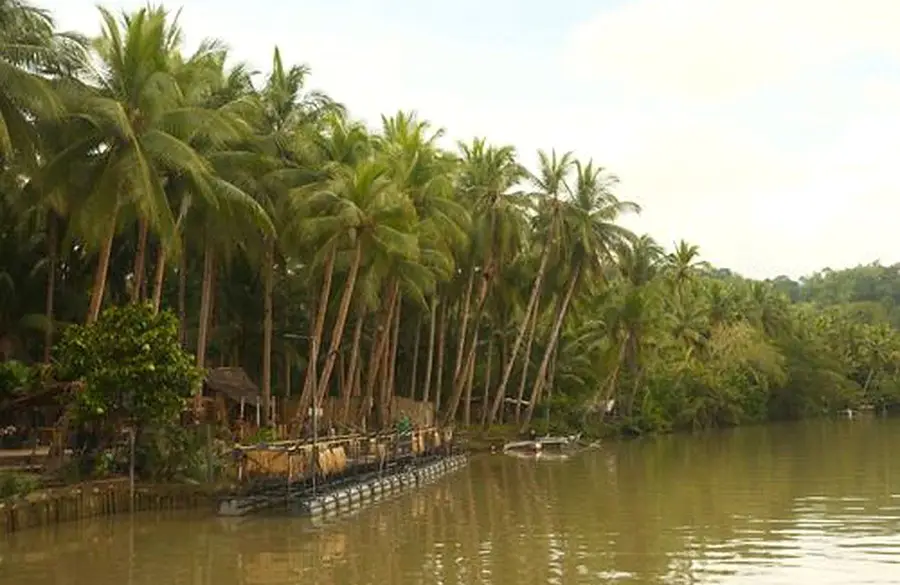 Bohol Countryside & Panglao gallery photo 3