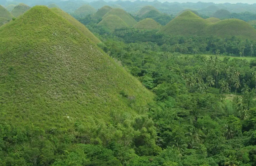 Bohol Countryside & Panglao