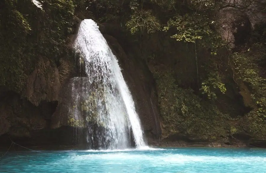 Oslob Whale Shark & Kawasan Falls gallery photo 2